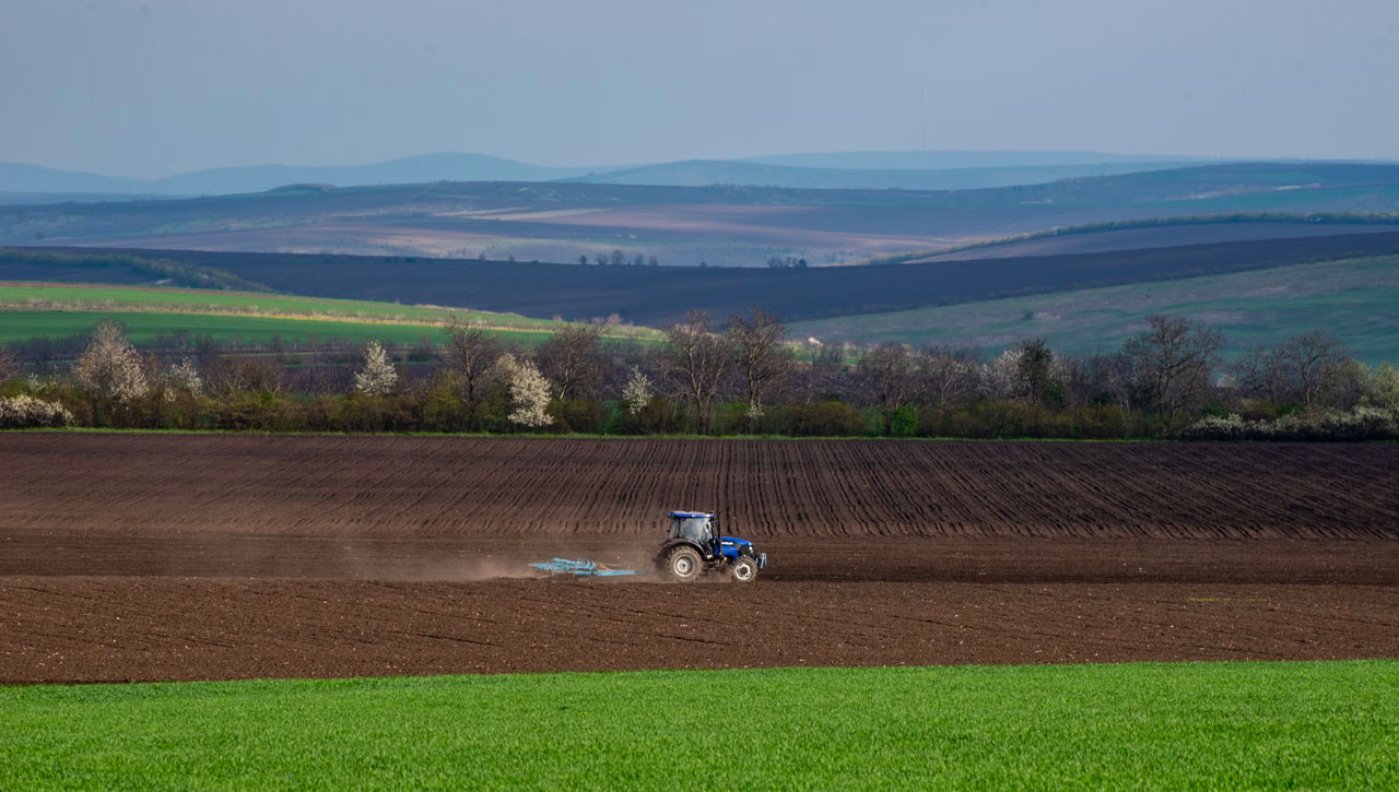 Les Zones de Non-Traitement en France : Faire Revenir la Nature et Renforcer les Liens Communautaires