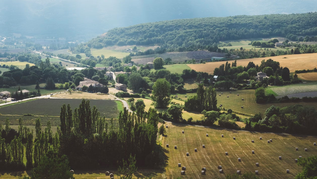 Zones de Non-Traitement : Les Terres Où la Nature Reprend Ses Droits